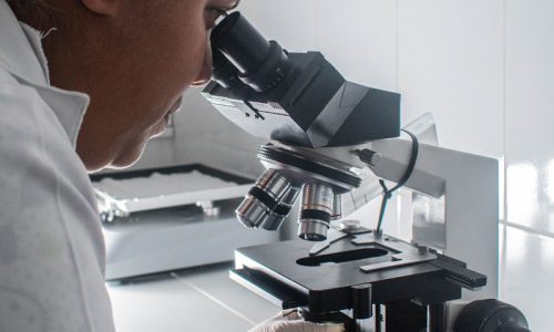 LABORATORIO